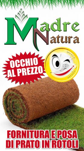 Fornitura e posa di prato in rotoli