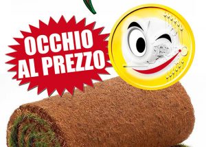 Fornitura e posa di prato in rotoli