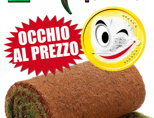 Erba vera in rotoli